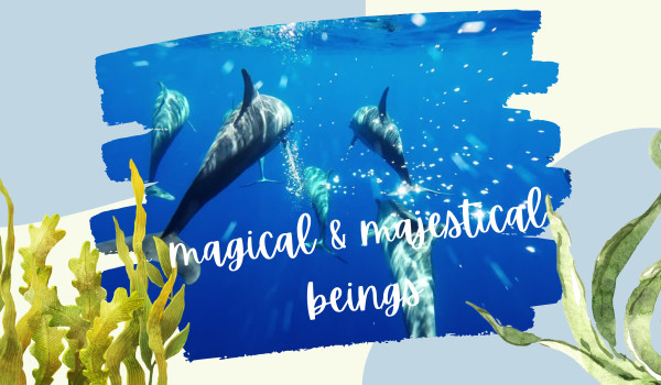 Magical and Majestical Wildlife