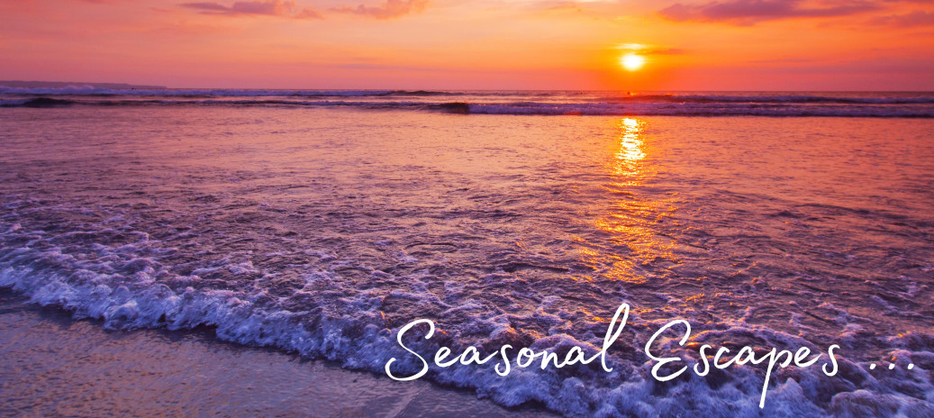 Copy of Copy of Email signature (Banner (Landscape)) (23)