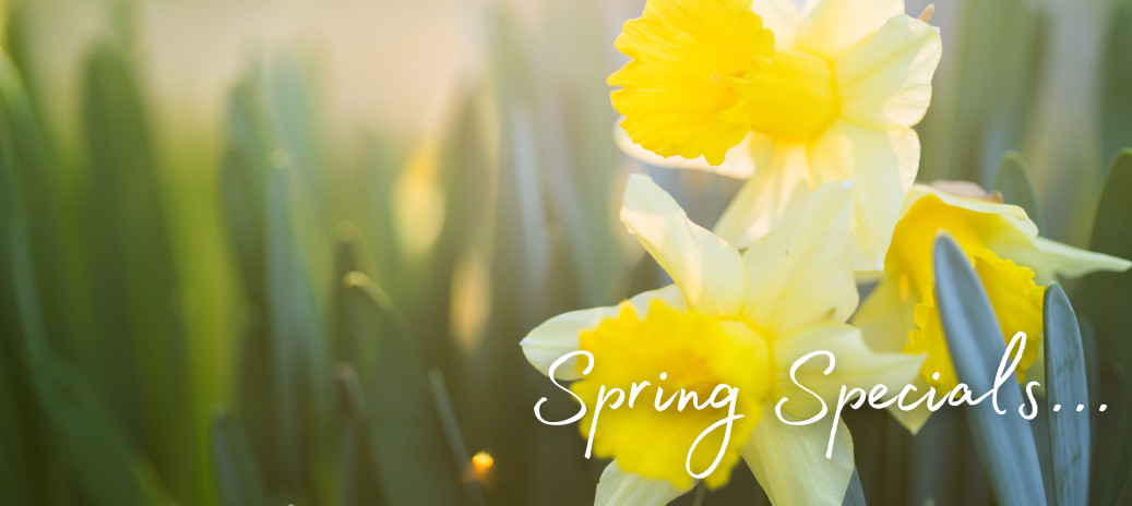 Spring Specials