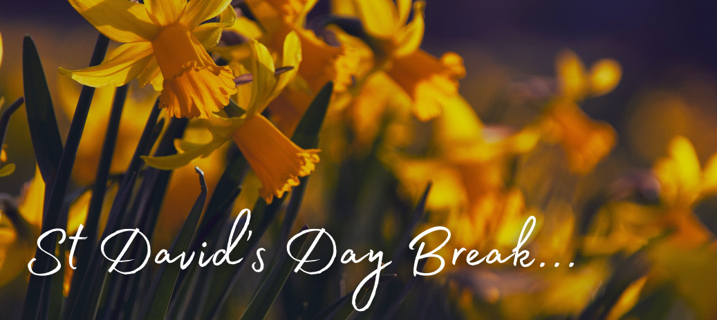 St Davids day break