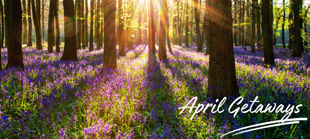 April Getaways at Trefeddian