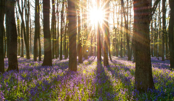 April Getaways at Trefeddian