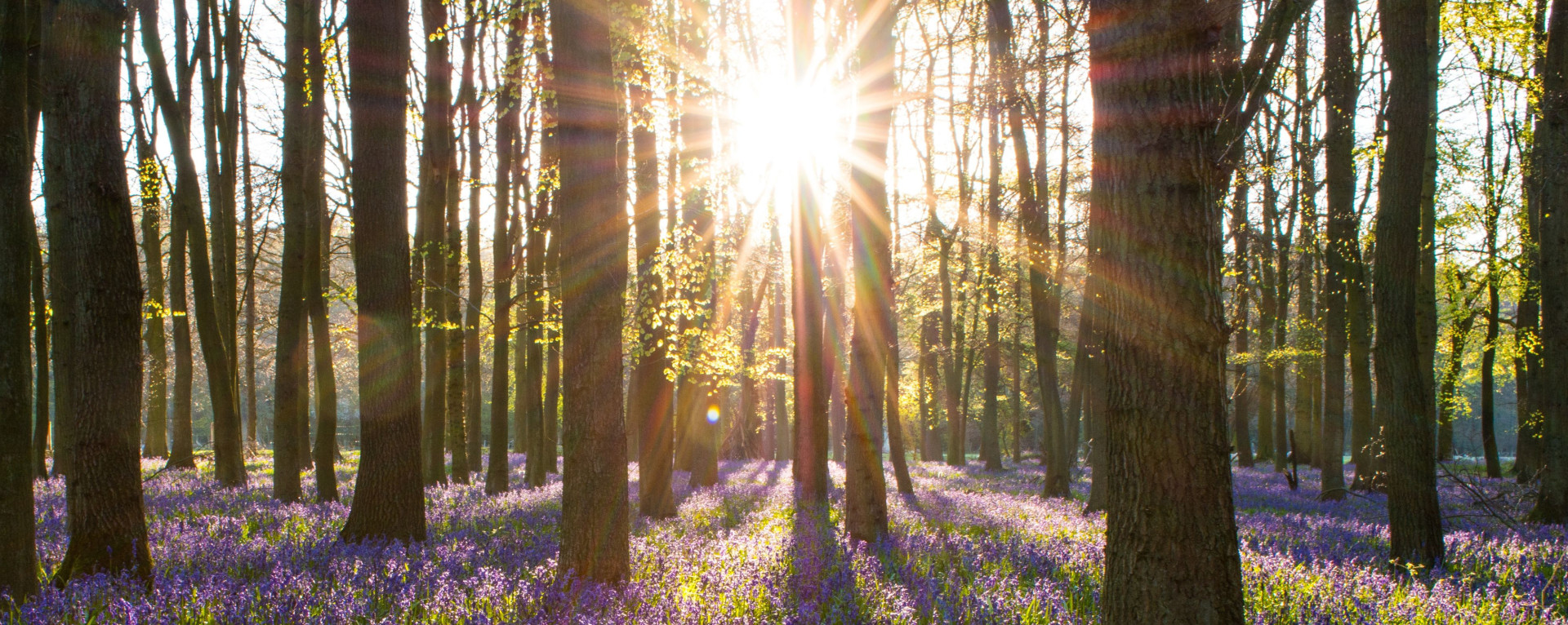 April Getaways at Trefeddian