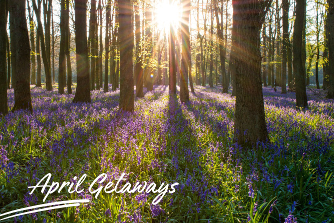 April Getaways at Trefeddian