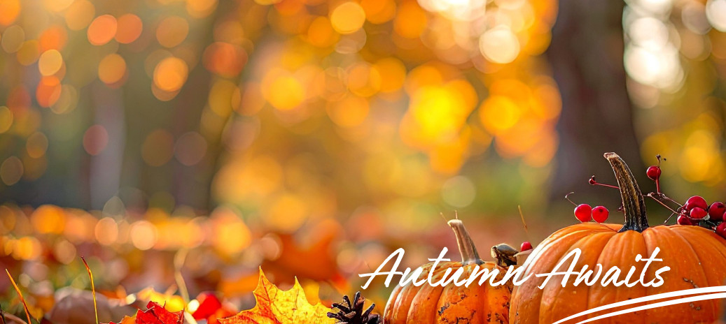 Autumn at the Trefeddian