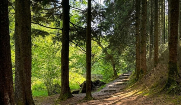 abergynolwyn