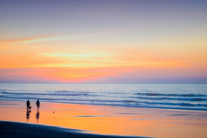 sunset_beach_walk_dog