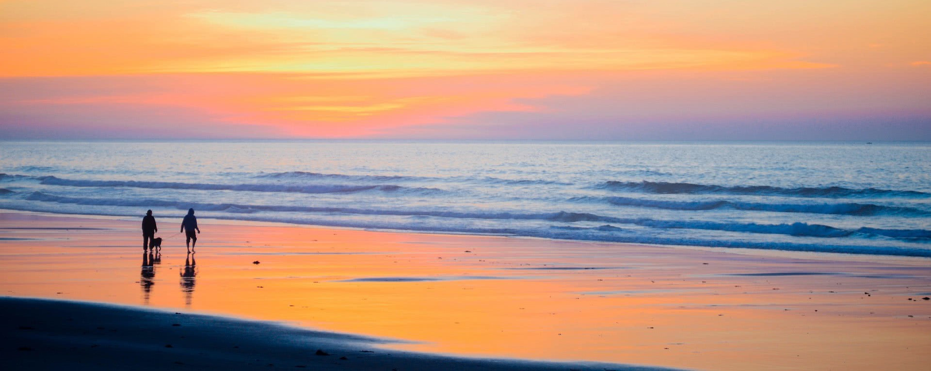 Walk on beach with dog at sunset