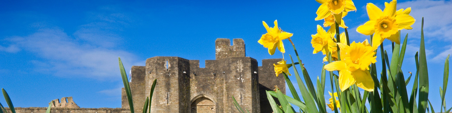 St David's Day