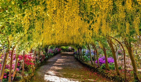 Gorgeous Gardens