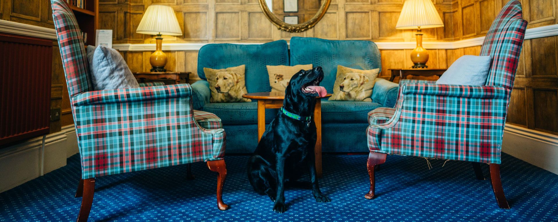 Dog friendly Hotel Snowdonia